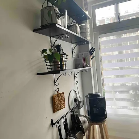 Lägenhet Centrally Located 2-bedroom In Oud-west